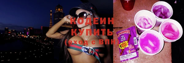 прущий лед Инта