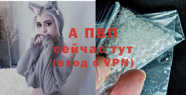 ECSTASY Каменск-Шахтинский