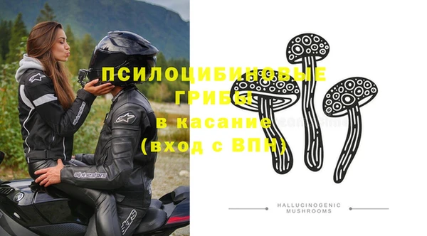 прущий лед Инта