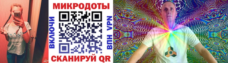 Галлюциногенные грибы Psilocybe  Купить  Тара 